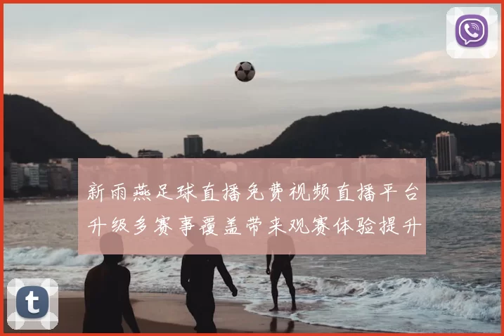新雨燕足球直播免费视频直播平台升级多赛事覆盖带来观赛体验提升