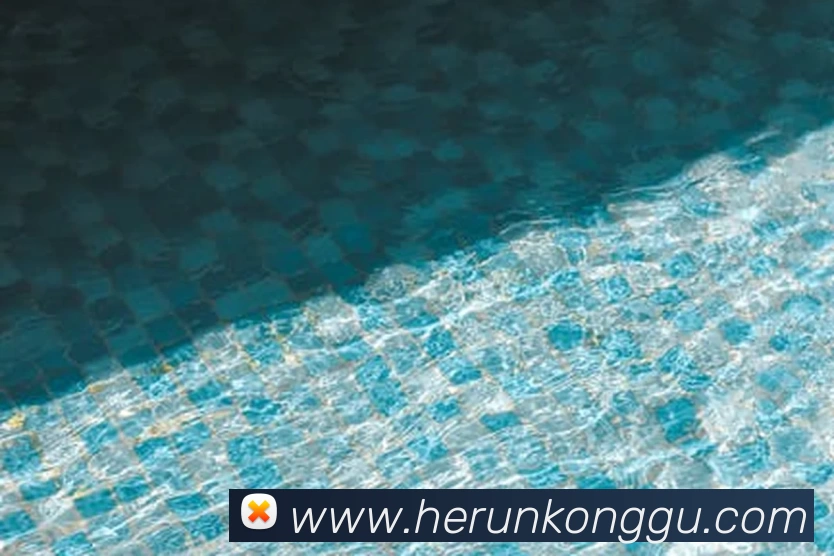 App Interface Preview