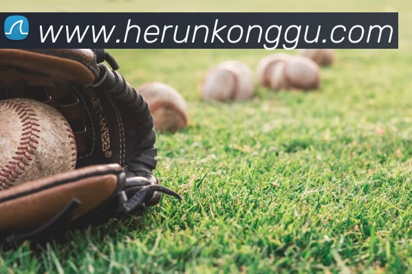 星空·体育(中国)官方入口(中国) - 唯一官方网站APP 封面图